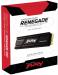 Kingston FURY Renegade 500 GB with Heatsink (SFYRSK/500G)