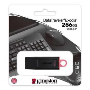 Kingston 256 GB DataTraveler Exodia (DTX/256GB)