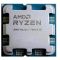 AMD Ryzen 7 7800X3D (100-000000910)