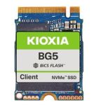 Kioxia BG5 256 GB (KBG50ZNS256G)