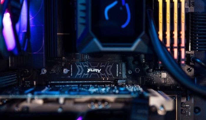 Kingston FURY Renegade 2 TB (SFYRD/2000G)