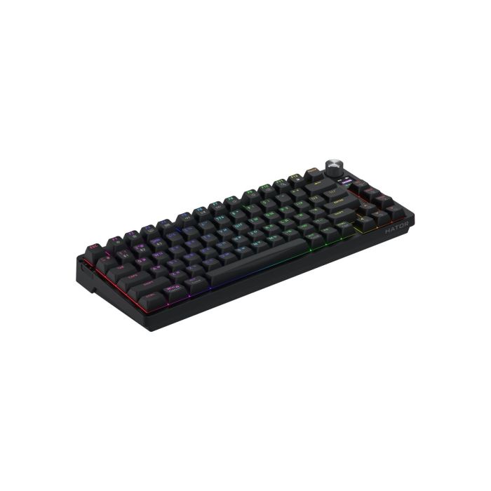 Клавіатура HATOR Icefall PRO Wireless Black (HTK450UA)