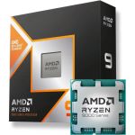 AMD Ryzen 9 9900X3D (100-100001368WOF) AMD Ryzen 9 9900X3D (100-100001368WOF)