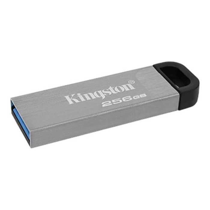 Kingston 256 GB DataTraveler Kyson (DTKN/256GB)
