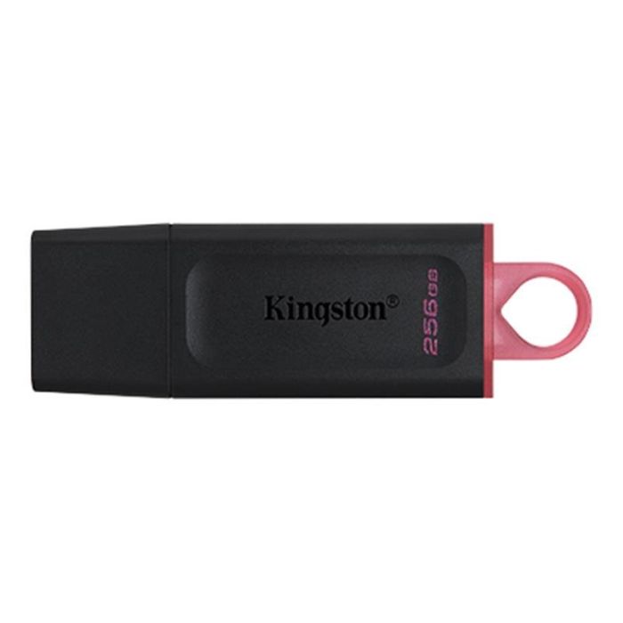 Kingston 256 GB DataTraveler Exodia (DTX/256GB)