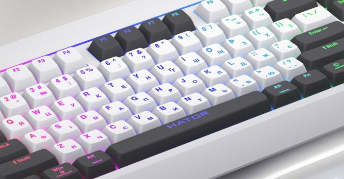 Клавіатура HATOR Icefall White (HTK405UA)