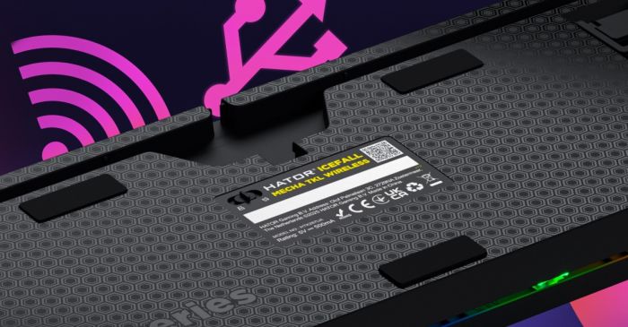 Клавіатура HATOR Icefall Mecha TKL wireless Rainbow Black (HTK287UA)