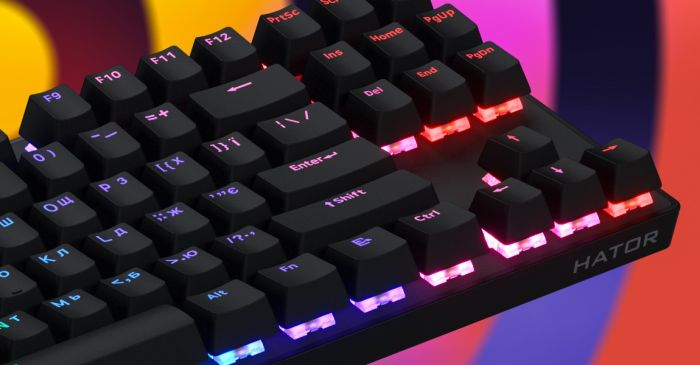 Клавіатура HATOR Icefall Mecha TKL wireless Rainbow Black (HTK287UA)