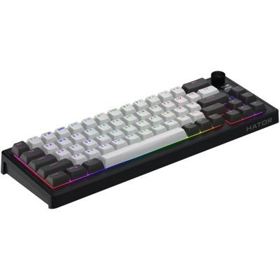 HATOR Skyfall 65 PRO Wireless Grey-Black Silent Switches (HTK4160UA)