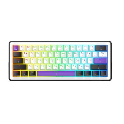 HATOR Hellyberry HK60 White-Violet