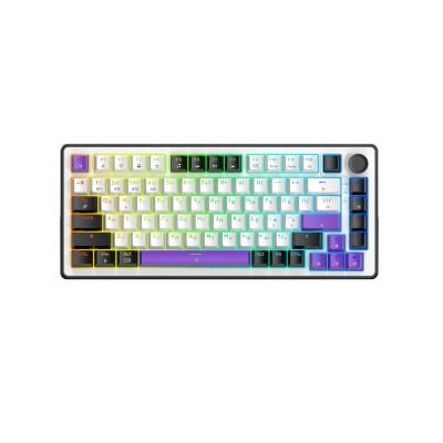 HATOR Hellyberry HK75 wireless White-Violet