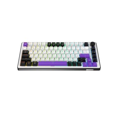 HATOR Hellyberry HK75 wireless White-Violet