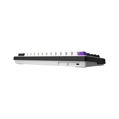 HATOR Hellyberry HK60 White-Violet