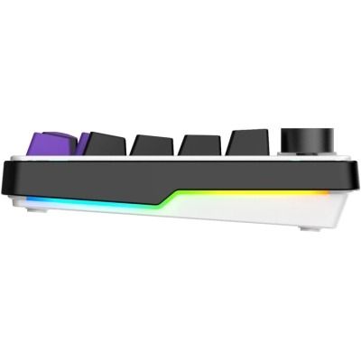HATOR Hellyberry HK75 White-Violet