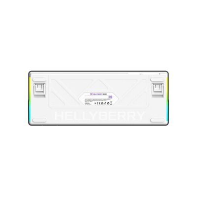 HATOR Hellyberry HK60 White-Violet