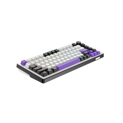 HATOR Hellyberry HK75 wireless White-Violet