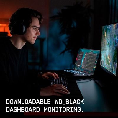 WD Black SN7100 500 GB (WDS500G4X0E)