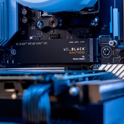 WD Black SN7100 500 GB (WDS500G4X0E)