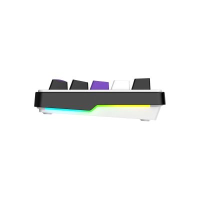 HATOR Hellyberry HK60 White-Violet