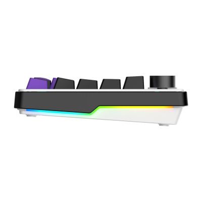 HATOR Hellyberry HK75 wireless White-Violet