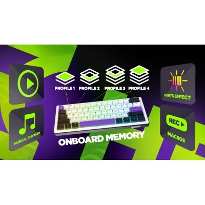 HATOR Hellyberry HK60 White-Violet