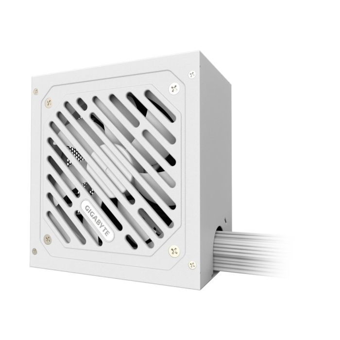 GIGABYTE P650SS ICE (GP-P650SS ICE)