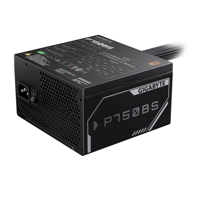 GIGABYTE P750BS (GP-P750BS)
