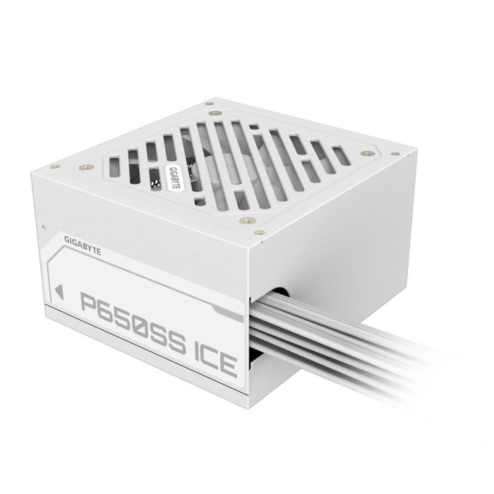 GIGABYTE P650SS ICE (GP-P650SS ICE)