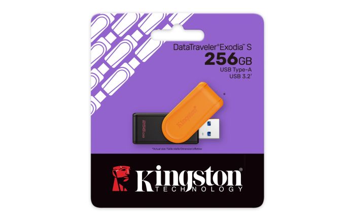 Kingston 256 GB USB 3.2 Type-A Gen1 DT Exodia S (DTXS/256GB)