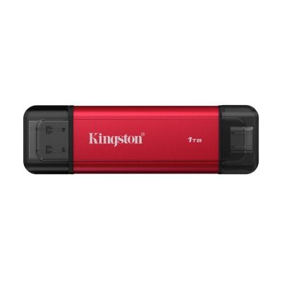 Kingston Dual Portable 1 TB (SPSD/1TB)