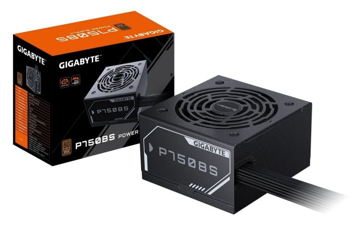 GIGABYTE P750BS (GP-P750BS)