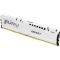Kingston FURY 16 GB DDR5 5600 MHz Beast EXPO White (KF556C36BWE-16)