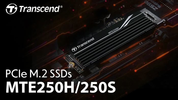 Transcend MTE250S 4 TB (TS4TMTE250S)