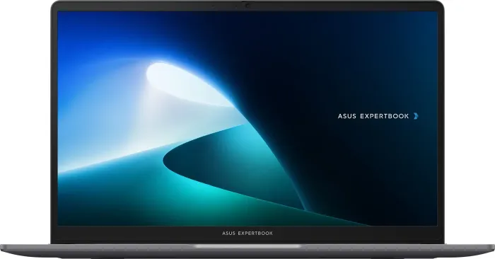 Ноутбук ASUS ExpertBook P1 P1503CVA (P1503CVA-S71493)
