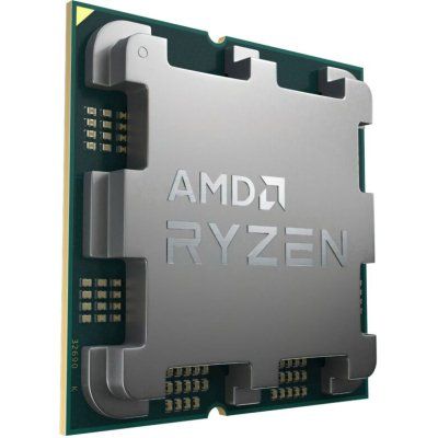 AMD Ryzen 7 7800X3D (100-000000910)